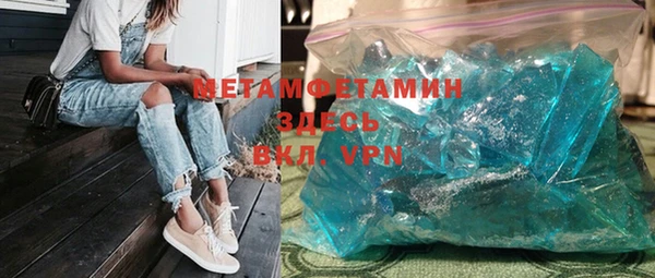 прущие грибы Волоколамск