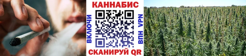 Бошки Шишки Amnesia  Павловск 